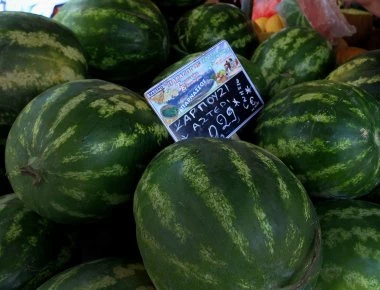 Πάτρα: Κάτω από τα καρπούζια έκρυβε λαθρομετανάστες! (φωτό)